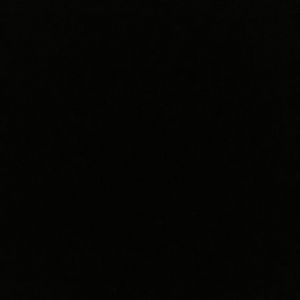 Meet your Posher, Lashonda